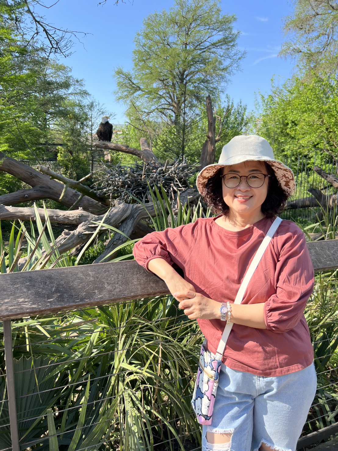 策展人—盧素卿